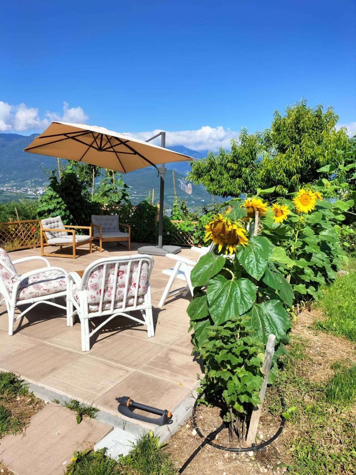 I Girasoli Sanzeno Luaran gambar