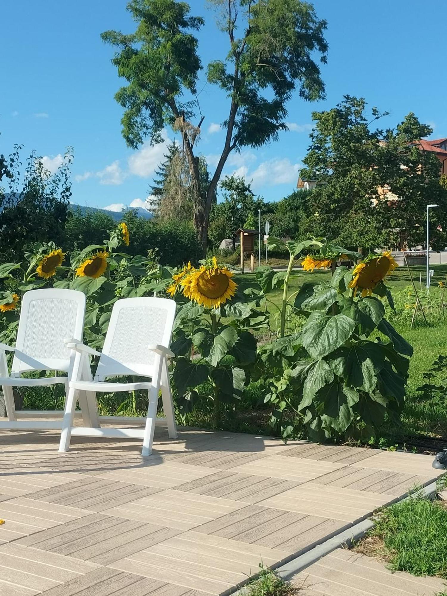 I Girasoli Sanzeno Luaran gambar